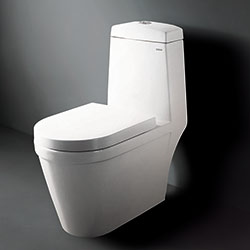 C0-1024 Porcelain Toilet