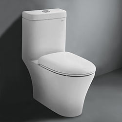 C0-1052 Porcelain Toilet