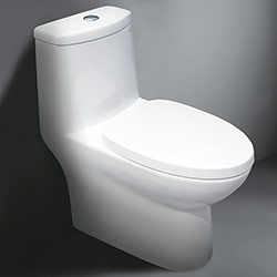 C0-1160 Porcelain Toilet