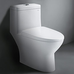 C0-1161 Porcelain Toilet