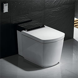 IT-803 Porcelain Intelligent Toilet