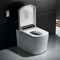 IT-803 Porcelain Intelligent Toilet