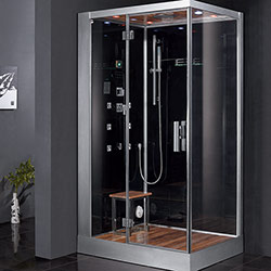 959 Rain Series Steam Shower